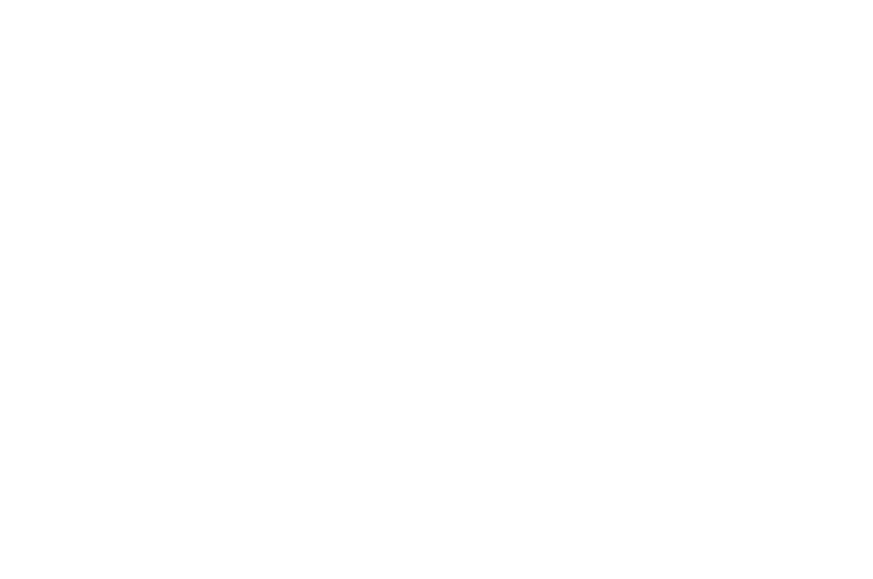 OFFICIAL SELECTION - Montreal Movie Awards - 2023
